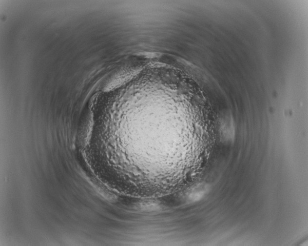 X0000080100668200612081203
