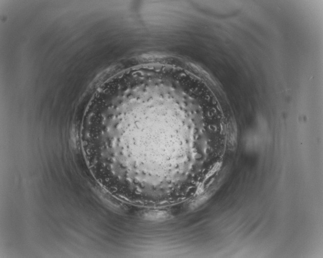 X0000080100669200612081203