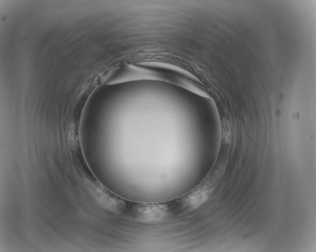 X0000080100670200612081203