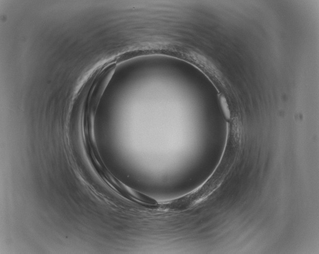 X0000080100676200612081203
