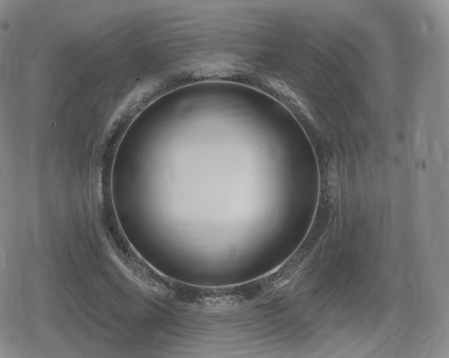 X0000080100686200612081202