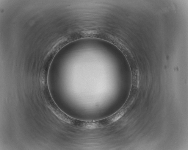 X0000080100710200612081202