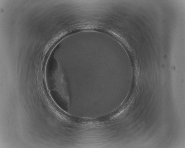 X0000080100721200612081201