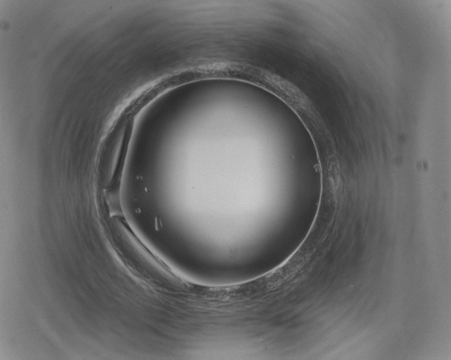 X0000080100728200612081201