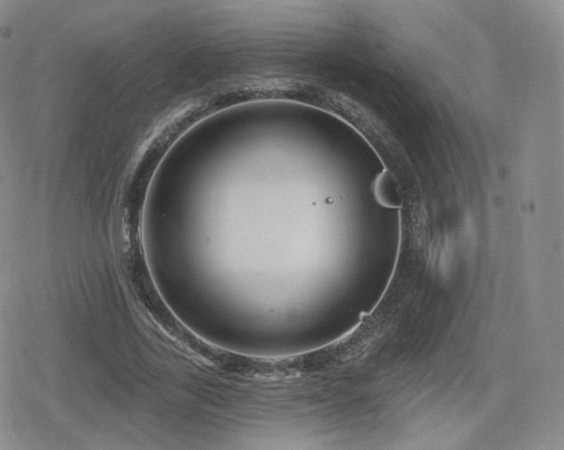 X0000080100731200612081201