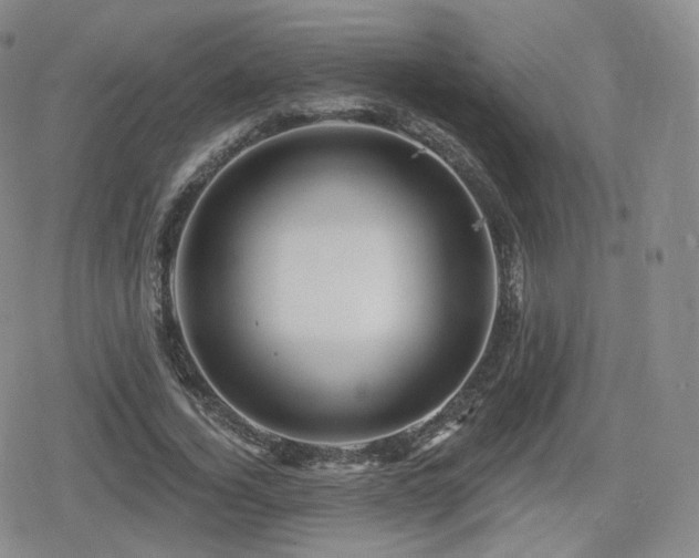 X0000080100732200612081201