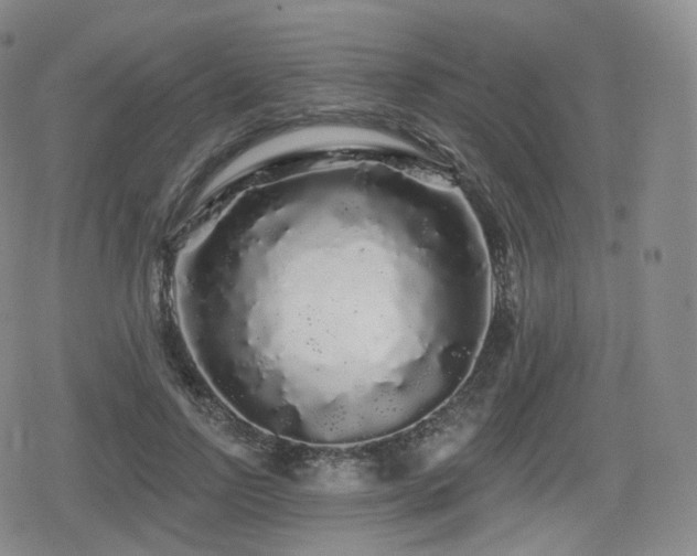 X0000080100742200612081201
