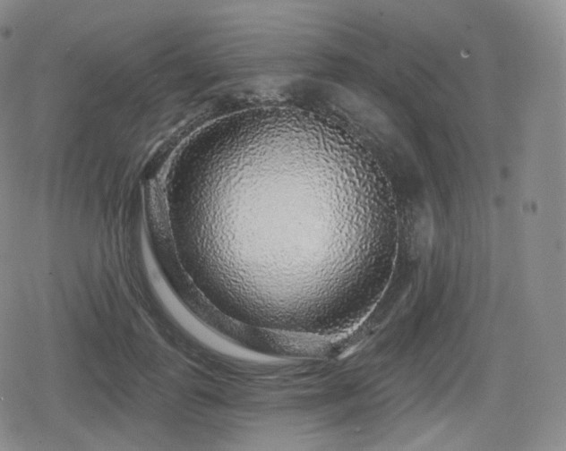 X0000080100747200612081202
