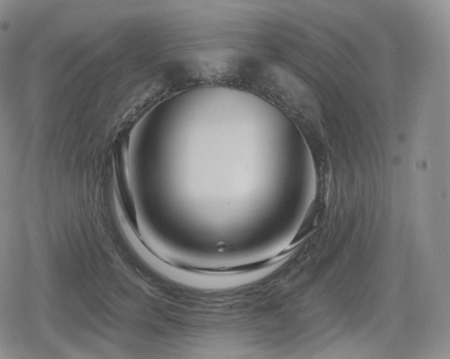 X0000080100750200612081202