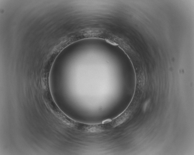 X0000080100755200612081202