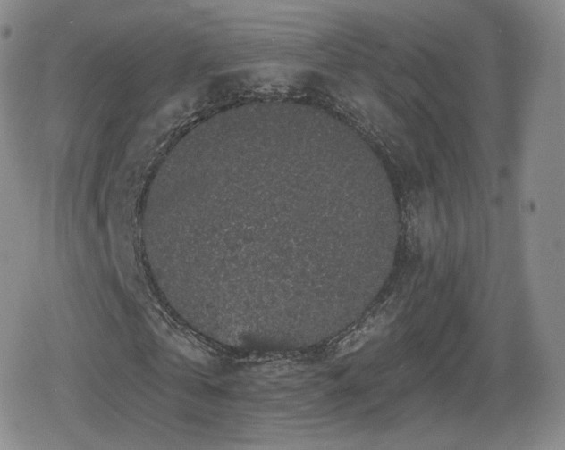 X0000080100769200612081201