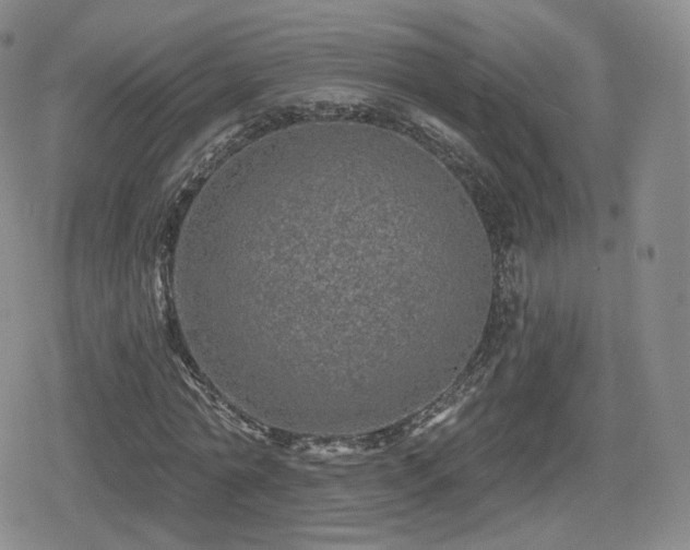 X0000080100774200612081201