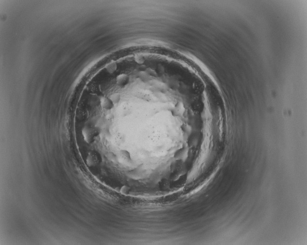 X0000080100783200612081201