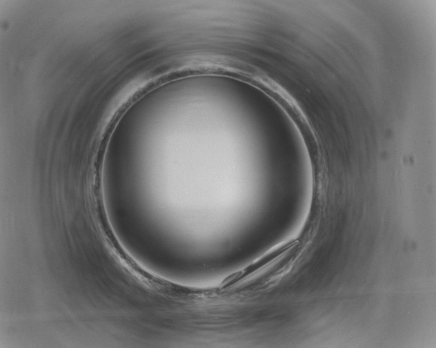 X0000080100799200612081201