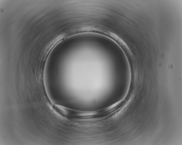 X0000080100801200612081201