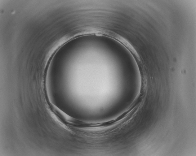X0000080100805200612081201