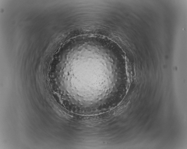 X0000080100817200612081200
