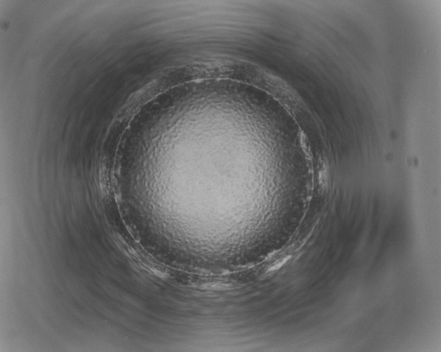 X0000080100819200612081200