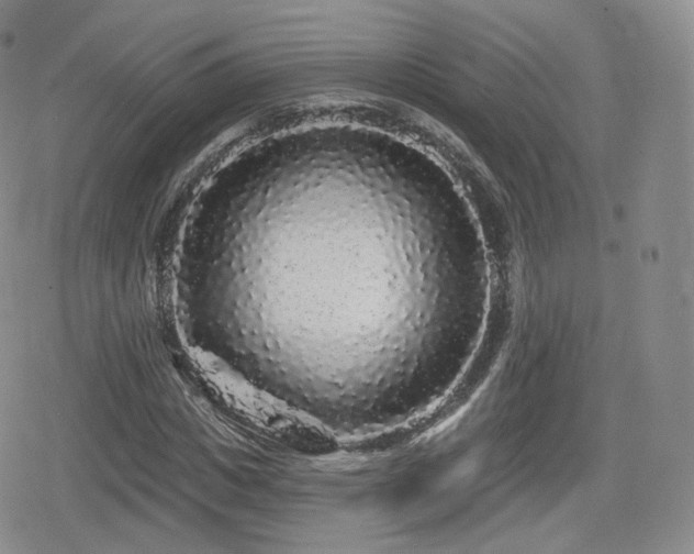 X0000080100825200612081200
