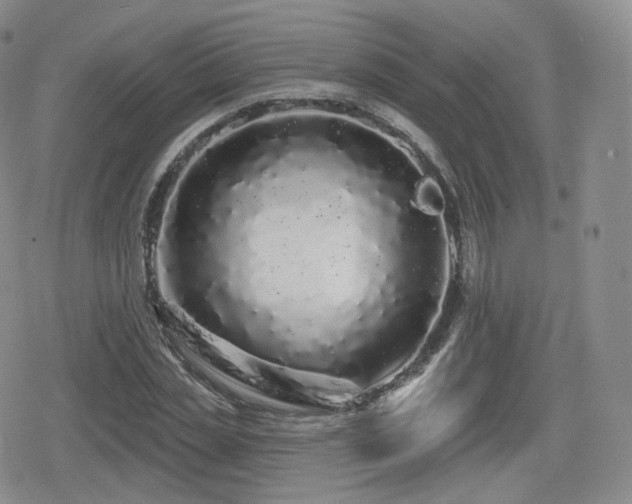 X0000080100829200612081200