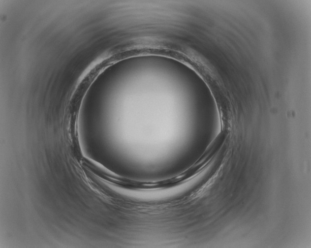 X0000080100830200612081200