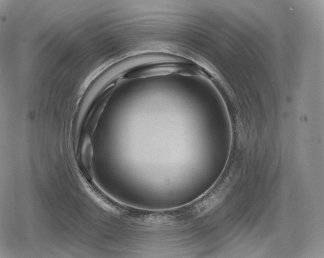 X0000080100842200612081200