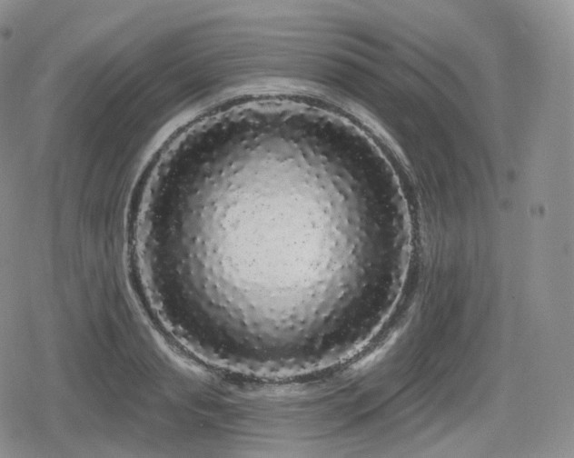 X0000080100845200612081200