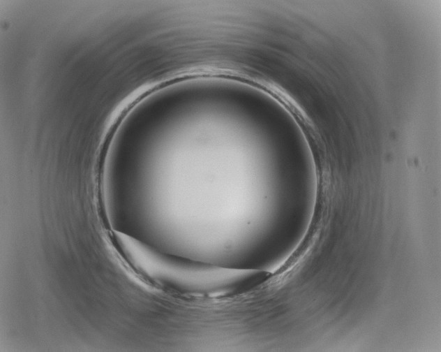 X0000080100854200612081200