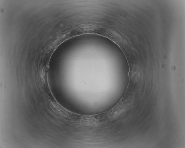 X0000080100866200612081200