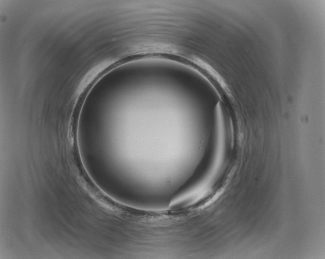 X0000080100885200612081159