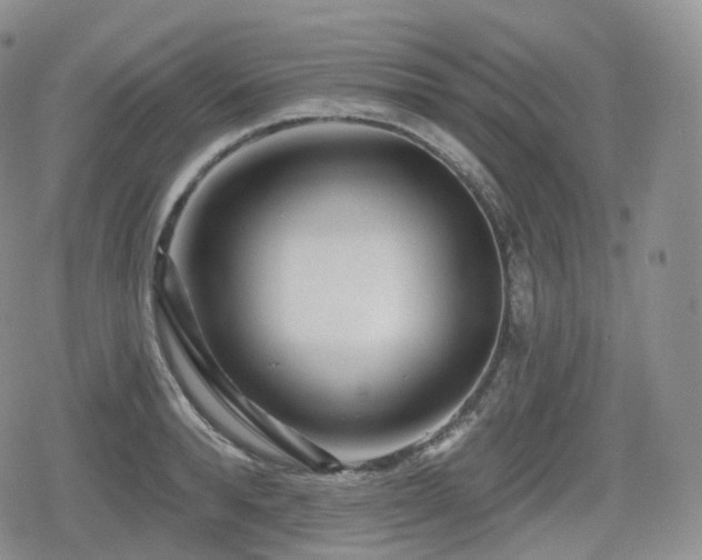 X0000080100896200612081159