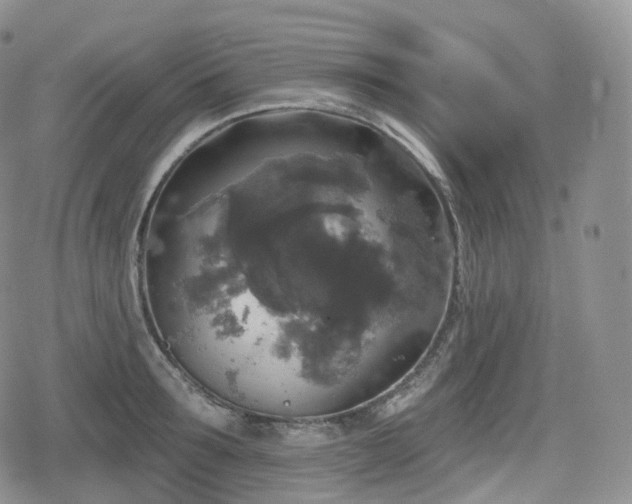 X0000080100899200612081159