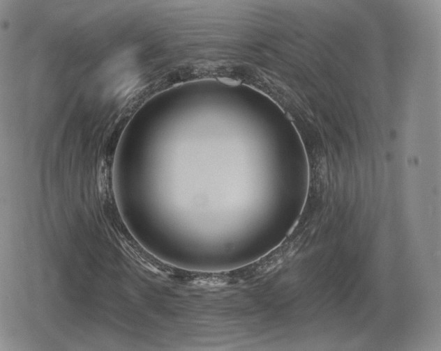X0000080100914200612081158