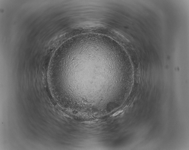 X0000080100917200612081158
