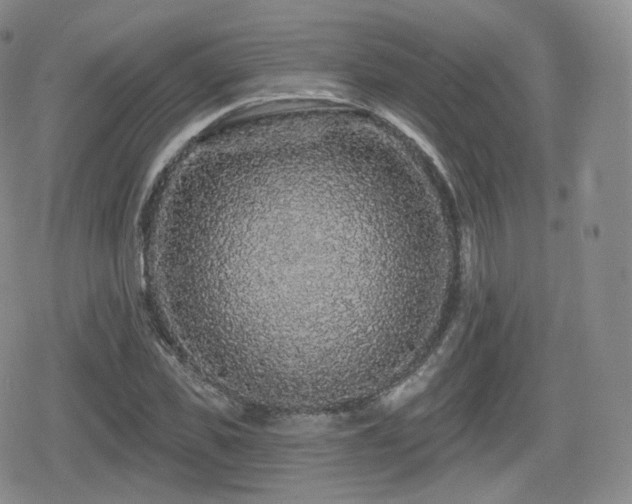 X0000080100925200612081158