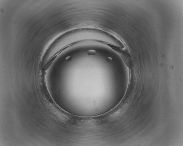 X0000080100926200612081158