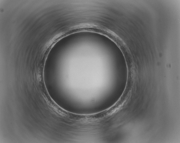 X0000080100929200612081158