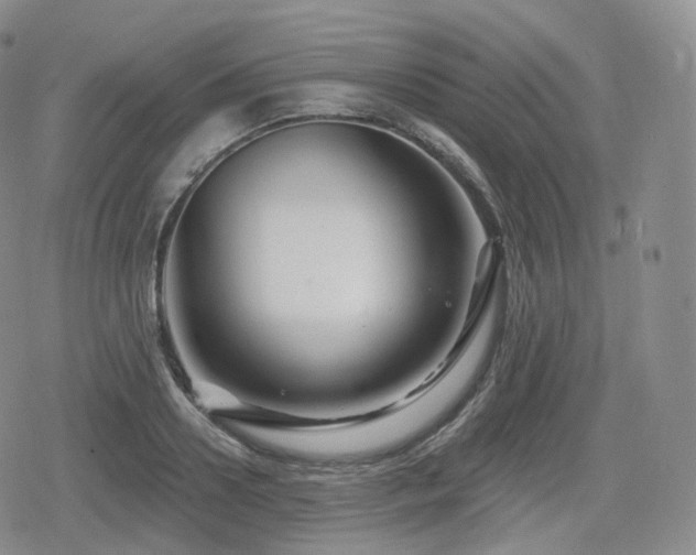 X0000080100938200612081158