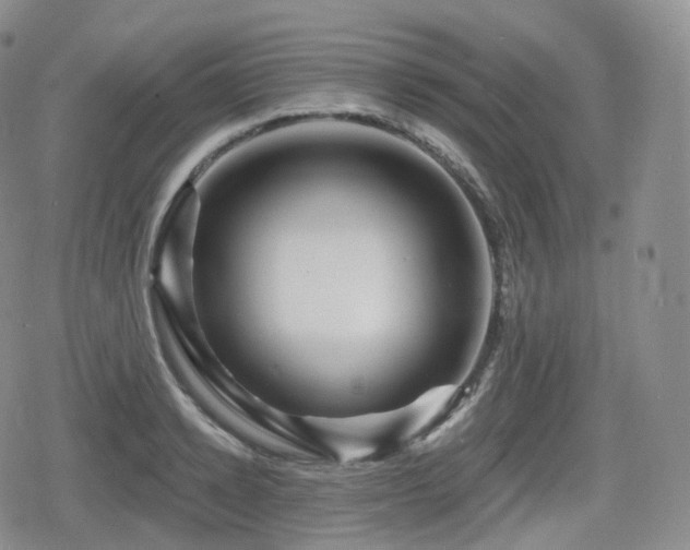 X0000080100942200612081158