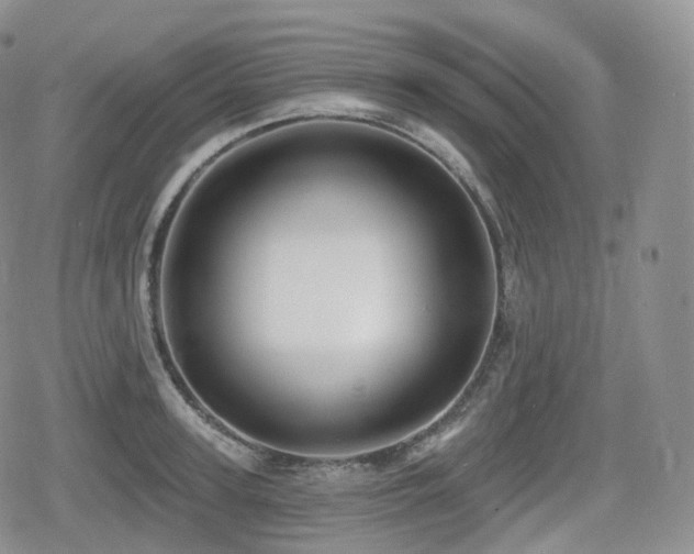 X0000080100947200612081159