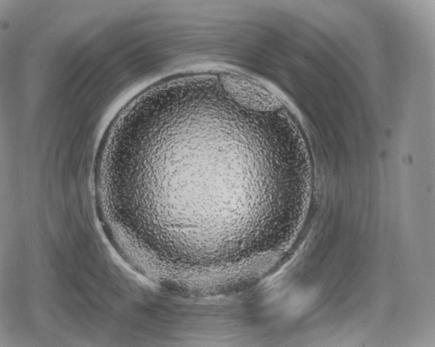 X0000080100951200612081159