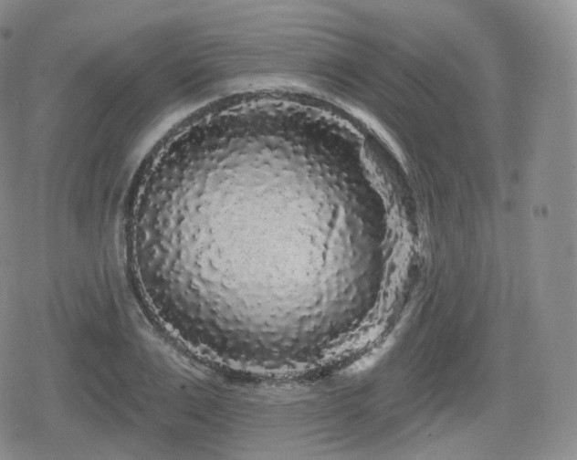 X0000080100983200612081158