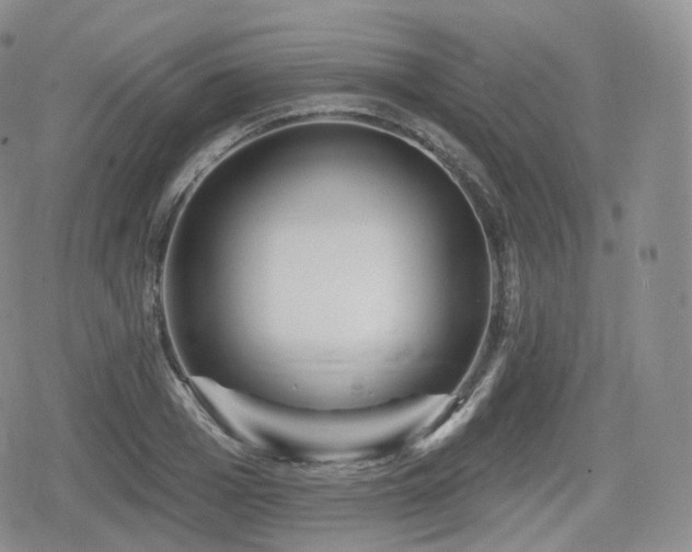 X0000080100985200612081158