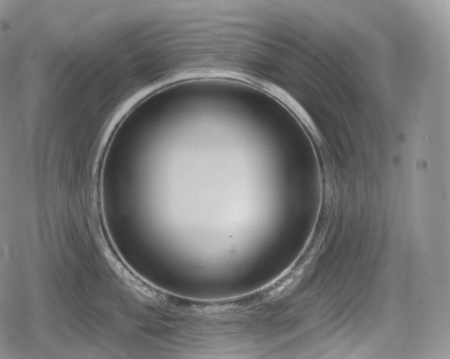 X0000080101004200612081157