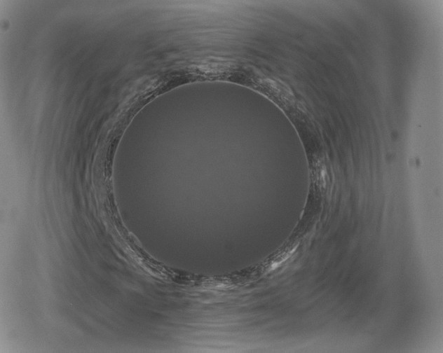 X0000080101009200612081156
