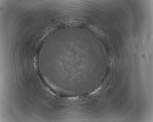 X0000080101010200612081156