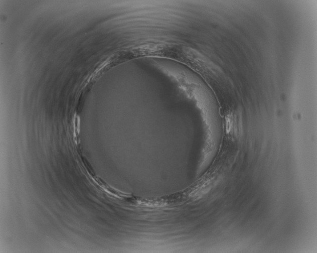 X0000080101011200612081156