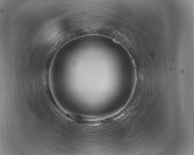 X0000080101012200612081157
