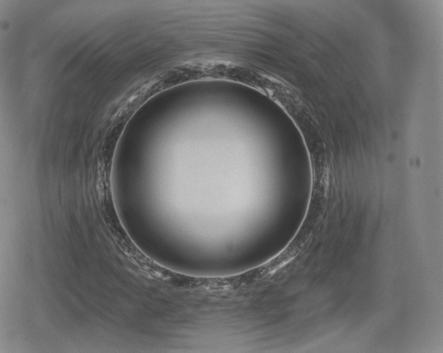 X0000080101014200612081157