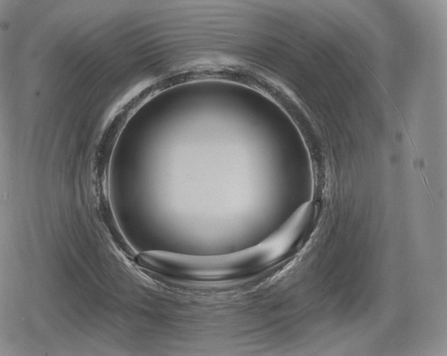 X0000080101018200612081157